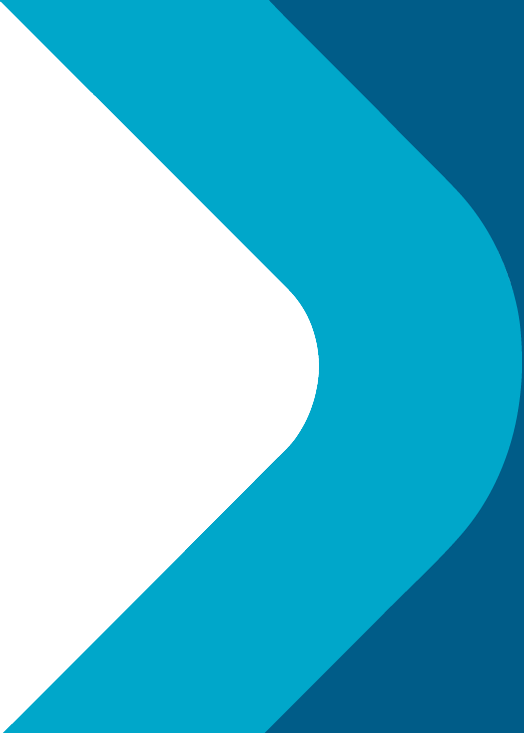 vehicle-highlight-icon